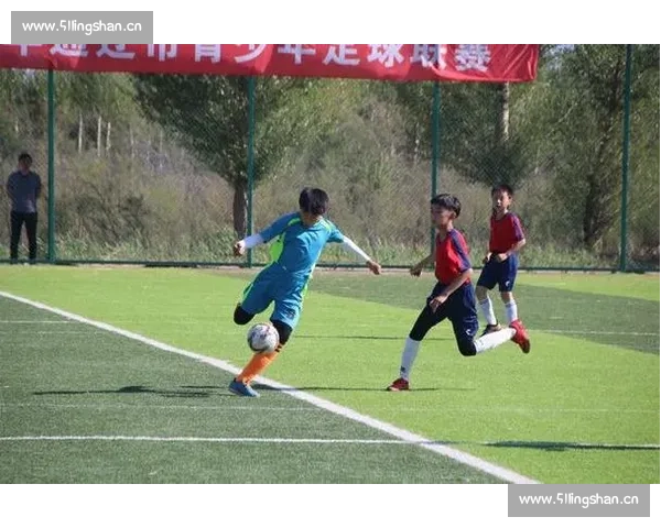 青少年足球发展现状与未来趋势分析：培养竞技能力与团队精神并重